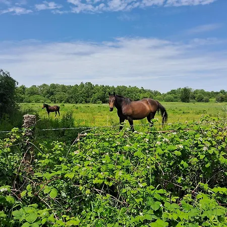 Stone Barn In Galway Countryside Athenry
