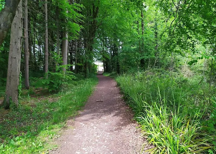 Apartamento Stone Barn In Galway Countryside