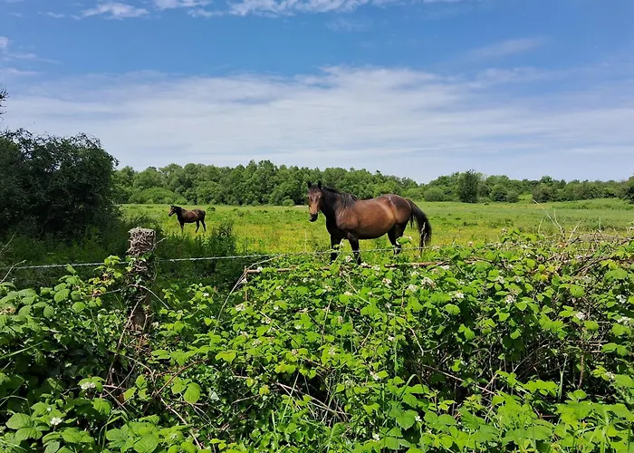 Stone Barn In Galway Countryside Athenry
